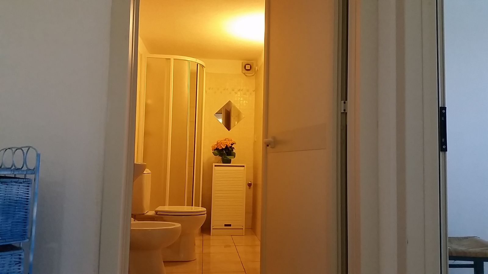 toilet with shower