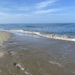 photo_2021-06-15_15-59-49