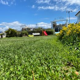 photo_2021-06-15_16-15-24